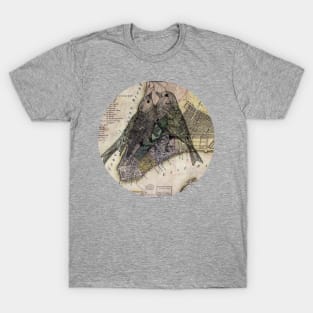 New York City Birds Map T-Shirt